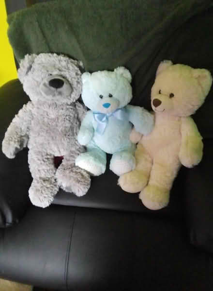 Photo of free Teddy bears (Killamarsh S21) #1