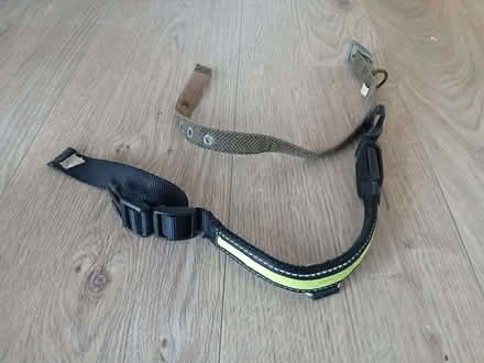 Photo of free Two dog leads (Worthing BN11) #2