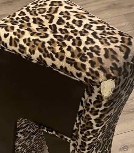 Photo of free Shoe chair (Chelmsford CM2) #2