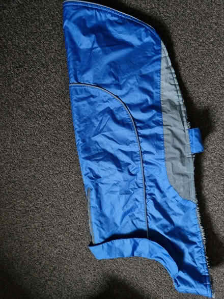 Photo of free Dog Coat (Currie EH14) #1