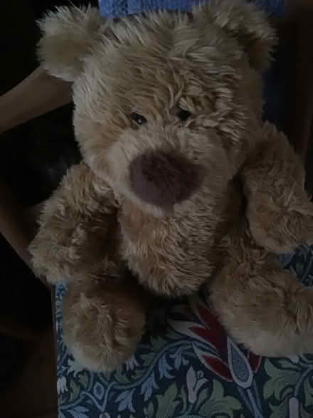 Photo of free Teddy (Wescott RG40) #2