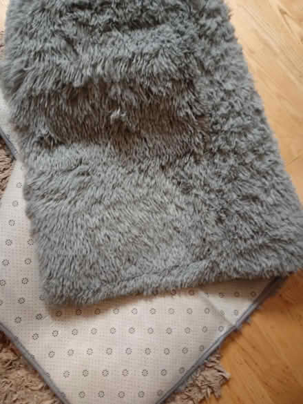 Photo of free Rug (Willesborough) #1