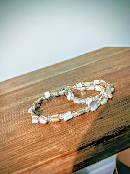 Photo of free Lovely shell necklace (Titness Park SL5) #2