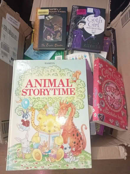 Photo of free 50+ children's books (Blacklands TN34) #1