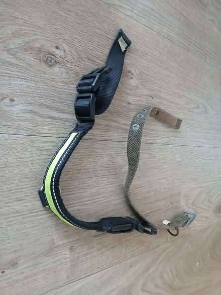 Photo of free Two dog leads (Worthing BN11) #1