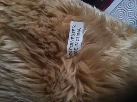 Photo of free Teddy (Wescott RG40) #1