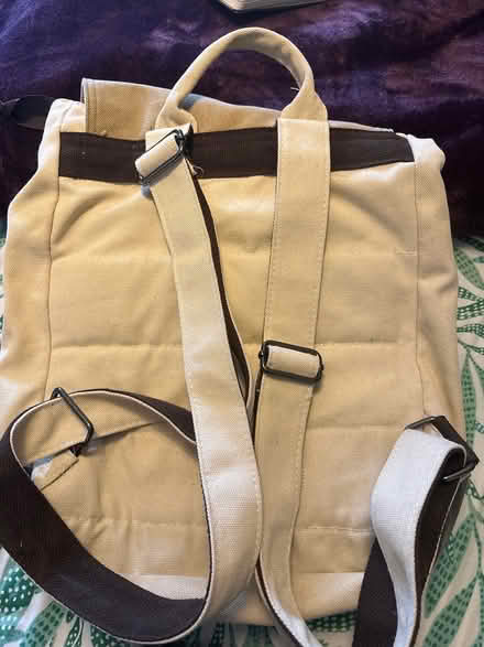 Photo of free Totoro backpack (Roath CF24) #2