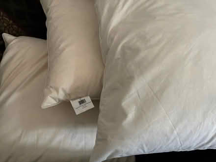 Photo of free Cushion inners (Long Ditton, KT6) #1