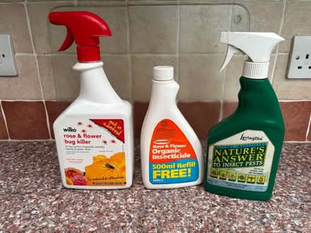 Photo of free 3 Insecticide Sprays (BD9) #1