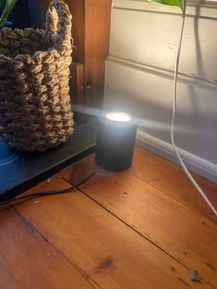 Photo of free Uplighter (City of Bristol BS6) #1