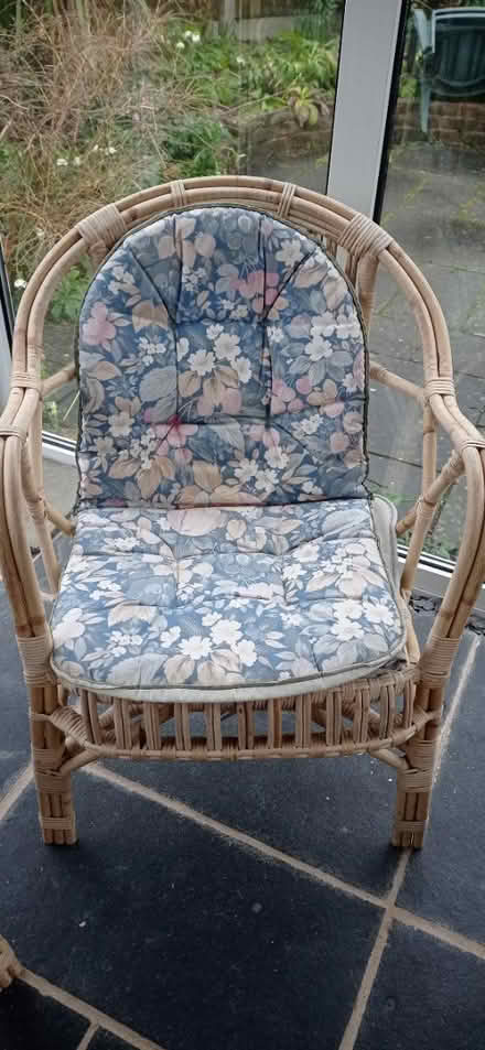Photo of free 3 Rattan Conservatory Chairs (Petersfield) #1