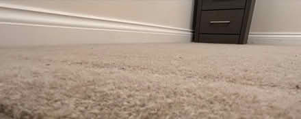 Photo of free Wool carpet various pieces (YO231BN) #3