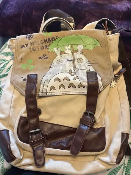 Photo of free Totoro backpack (Roath CF24) #1