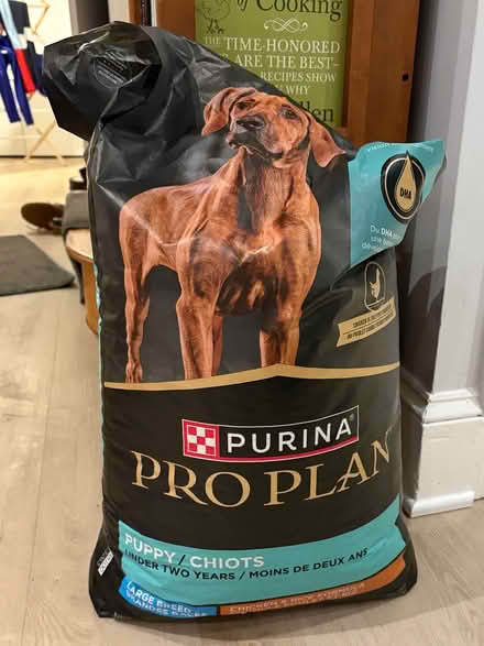 Photo of free Large Breed Puppy Food (Crestwood) #1