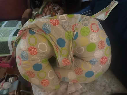 Photo of free Boppy pillow (Urbana, MD) #1