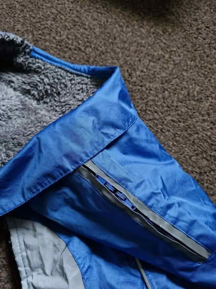 Photo of free Dog Coat (Currie EH14) #2