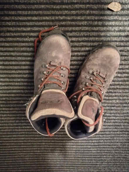 Photo of free womens walking boots size 8 (Halstead) #1
