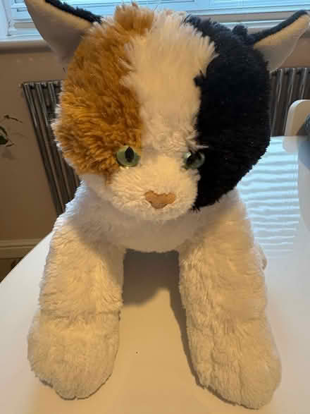 Photo of free Cat Build A Bear (CM1 Broomfield) #1