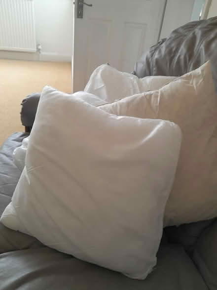 Photo of free Cushions, excellent condition (Felpham, PO22 7) #1