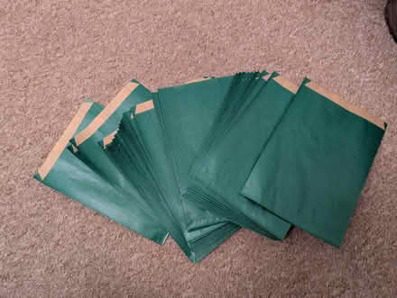 Photo of free Green paper bags (Heaton) #1
