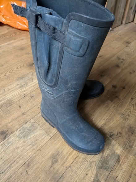 Photo of free Wellies size 38/5 (Rowde SN10) #3