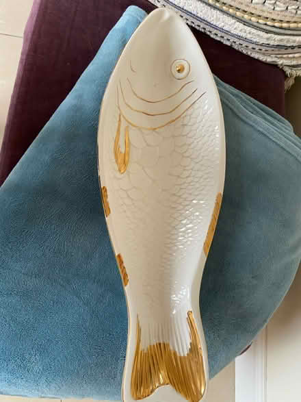 Photo of free Large fish plate (Newton Mearns G77) #1