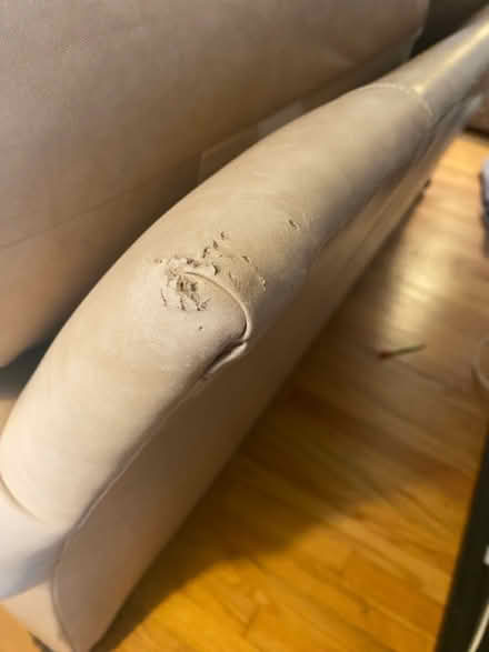 Photo of free Leather Couch (North Branford) #3