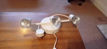 Photo of free Spotlights (Petersfield) #1