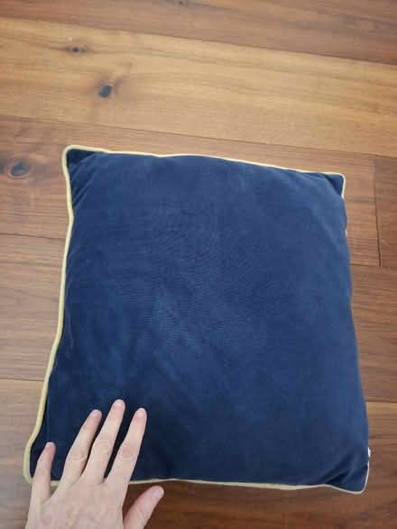 Photo of free Habitat soft bee cushion LONDON NW2 6JX (NW2) #2