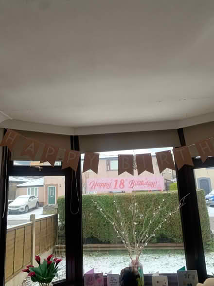 Photo of free Girls 18th birthday devs plus cake decorations (Buxton Central SK17) #1