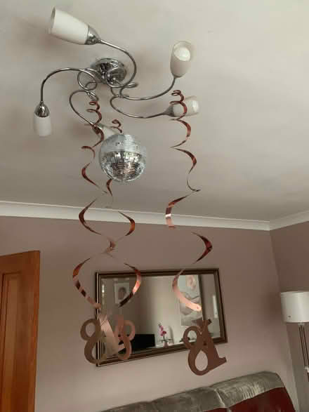 Photo of free Girls 18th birthday devs plus cake decorations (Buxton Central SK17) #3