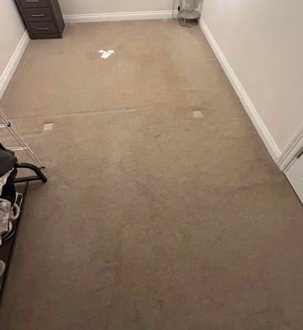 Photo of free Wool carpet various pieces (YO231BN) #1