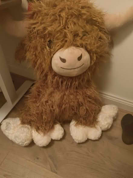 Photo of free Giant Yak (Wandsworth SW18) #1