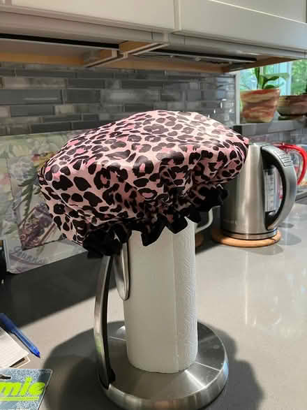 Photo of free shower cap, like new (Novato) #1