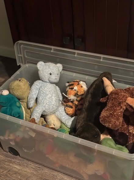 Photo of free Stuffed animals (Chevy Chase, DC) #1