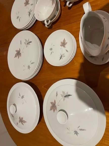 Photo of free 40 piece Doulton dinner service (Didcot OX11) #2