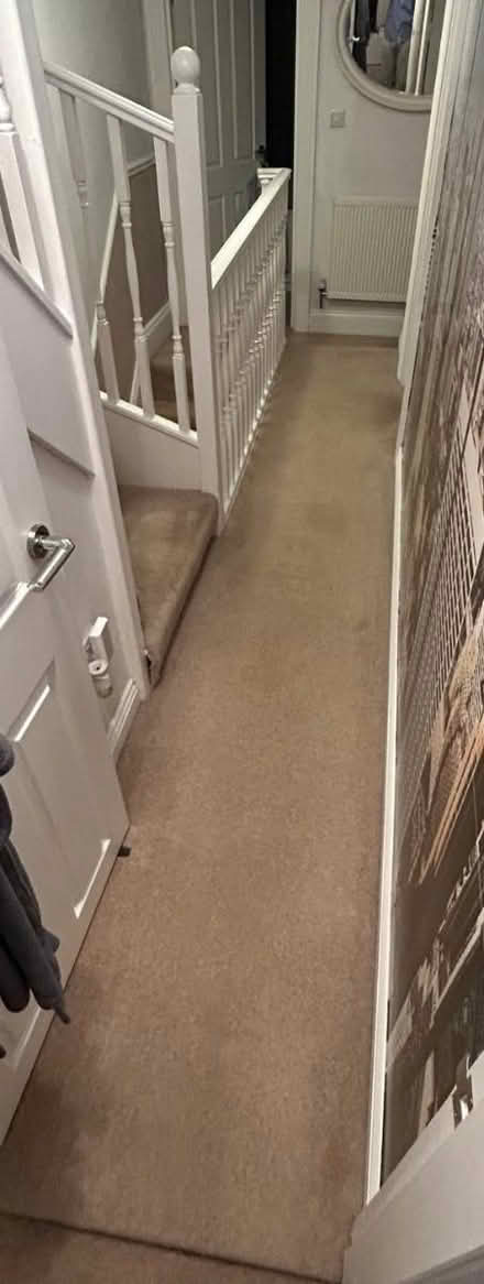 Photo of free Wool carpet various pieces (YO231BN) #2