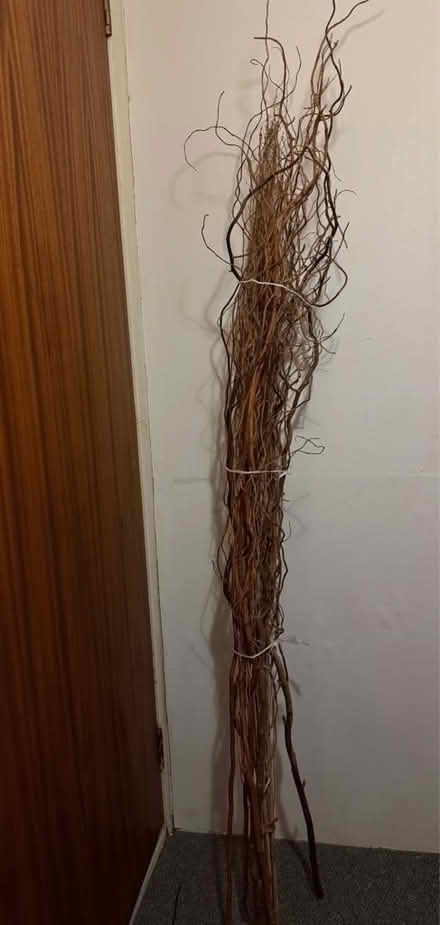 Photo of free Bundle of twisted Willow (Southsea PO5) #1
