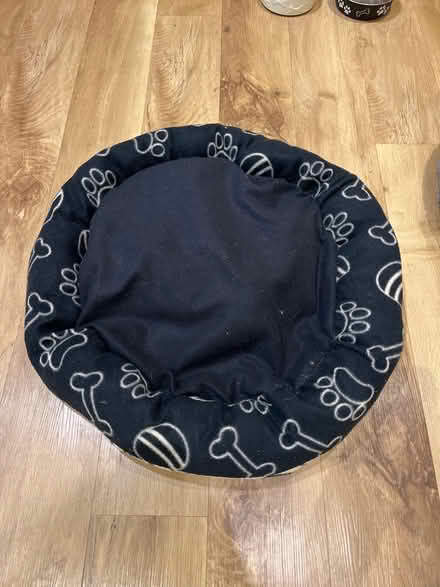 Photo of free Dog bed (Kenilworth CV8) #1