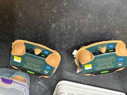 Photo of Empty egg boxes (GU11) #1