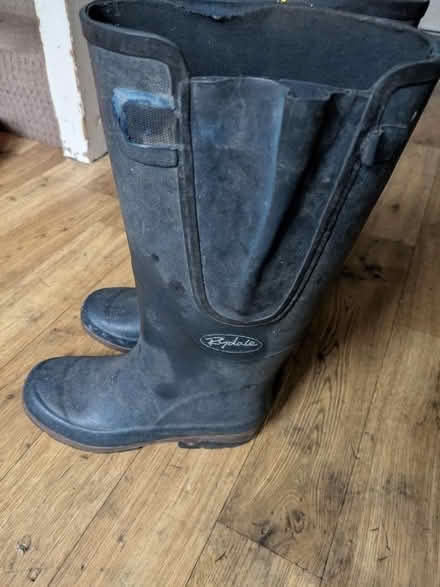 Photo of free Wellies size 38/5 (Rowde SN10) #2