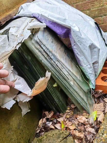 Photo of free Greenhouse glass (BN1) #1