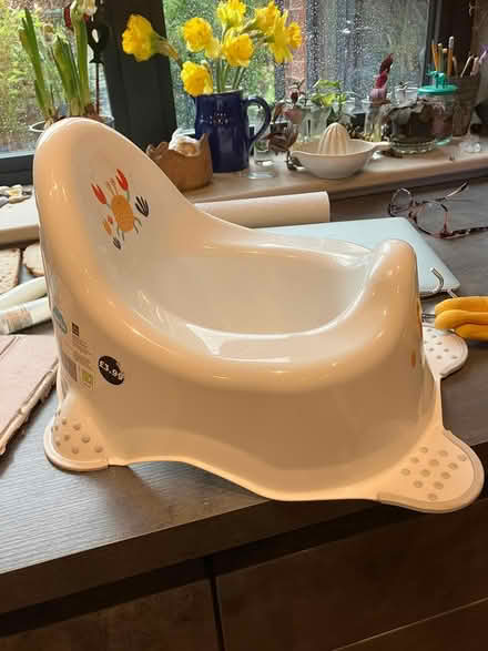 Photo of free Potty (DE56 (Kilburn)) #1