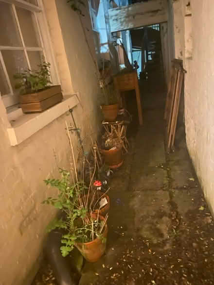 Photo of free Various pots (Reading) #1