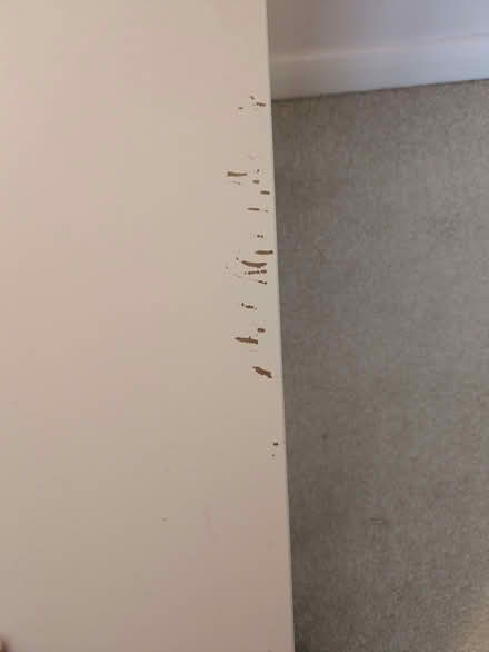 Photo of free IKEA Lack Side Table (Bishopton Hamlet CV37) #3