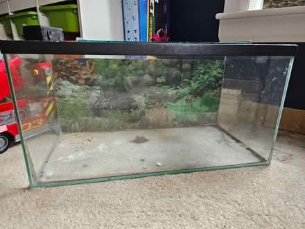 Photo of free Small vivarium (East Kilbride G74) #1