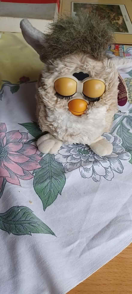 Photo of free Tiger furby (B63 halesowen) #2