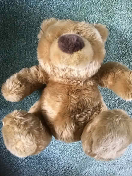 Photo of free Teddy (Wescott RG40) #3