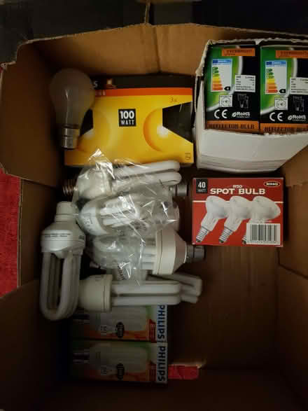 Photo of free Selection of lightbulbs, to go as one lot (Highway SL6) #1