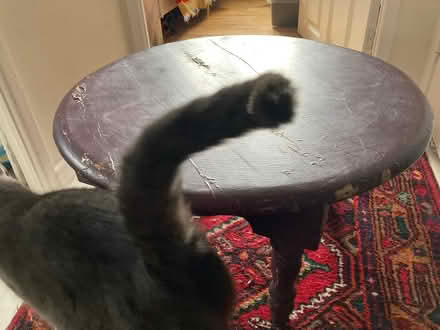 Photo of free Solid Cedar old painted table (Glastonbury BA6) #2